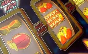 Spin Bounty Casino